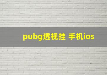 pubg透视挂 手机ios